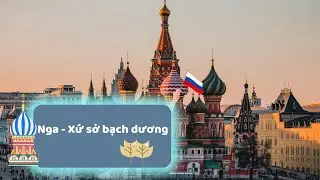 NGA - Xứ sở bạch dương