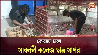 কোয়েল পাখির খামার করে স্বাবলম্বী কলেজ পড়ুয়া সাগর | Koel Bird Farming | Channel 24
