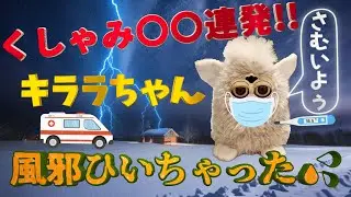 Kirara caught a cold ~Record of her recovery~ #furby #Furby #healing