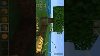 News#1 (fox-bee aka fox&wolf  fight