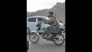 Nushki Eid viral videos 😨😨🔥 #statusvideo #nushkal #freefire