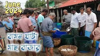 বামনঘাটা মাছের বাজারের মাছের দাম জুন 2024 || fish price in Kolkata || Indian fish market || #fish