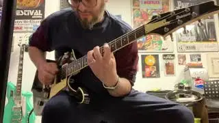 Ibanez IC300