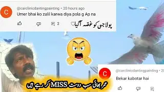 Umar Khokhar Sb Dost Miss Kr Rhe H || Pola G Pigeons Club