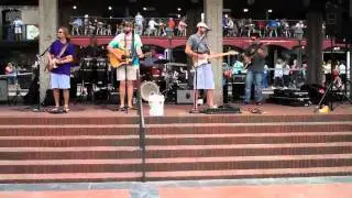 Homemade Wine Band - Savannah Parrot Head Club Event