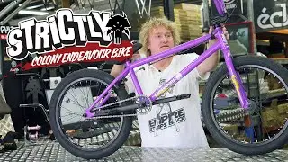 Colony Endeavour / Limited Edition Purple / Strictly BMX