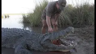 Monster Crocodile - This is Africa TV