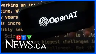 Criminal lawyer explains how an A.I. defence is argued in court