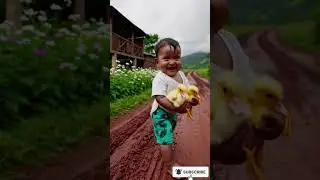 Cutest Village Walk 🐣 Baby & Ducklings in Nature | Viral Short 2025