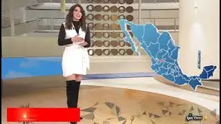 Fernanda Torres ✨