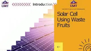 Solar Cell Using Waste Fruit (MTE2021)