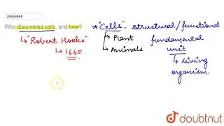 Who discovered cells, and how?  | 9 | THE FUNDAMENTAL UNIT OF LIFE | BIOLOGY | NCERT | Doubtnut