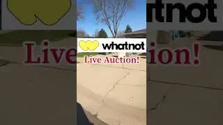 Я провожу свой первый аукцион Whatnot Live!