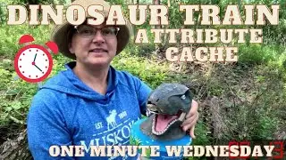 Dinosaur Train Attribute Cache