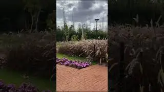 Euro Garden Maring&aacute;, Paran&aacute;.