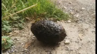 I found a WWII Type 36 