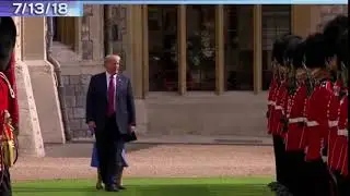 clueless trump