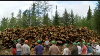 Teaching the Teacher: Working Forests in Maine