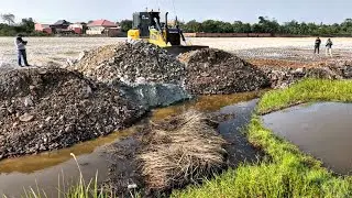 Skill Excellent PowerFull Dozer DH17C3 Clean Forests For Building The Water Using Stones For Pushing