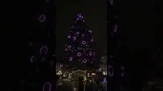 Christmas Strasbourg #europe #france #popular ##ad #shorts #youtube #indian #travel #christmas #food