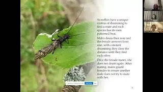 Step into Nature – What to look out for in the weeks ahead' with Rachel McKenna