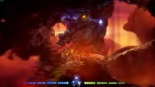 Ori and the Will of the Wisps - Infinite Passive Farming