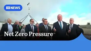 Coalition under climate pressure, govt in talks over Palestinian statehood | ABC NEWS