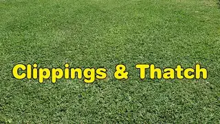 Do Grass Clippings Cause Thatch?