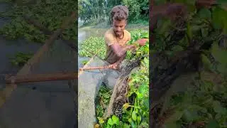 Amazing Village Fishing Experience#amazing