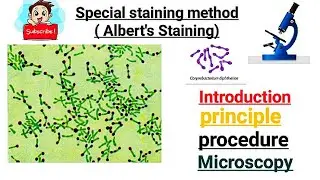 Albert's Staining | Special staning Method || part -4