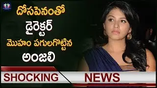 దోస పెనంతో డైరెక్టర్ మొహం పగలకొట్టిన అంజలి || Actress Anjali || TFC Films And Film News