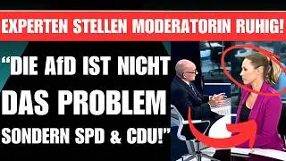 EXPERTEN stellen sich auf SEITE DER AfD 🚨 