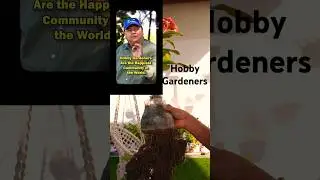Hobby Gardener's #garden #plant #diy #handmadeplanter #gardener #hobbygarden #gardendecor #plant
