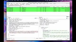 API9:2023 - Improper Inventory Management | API Pentest
