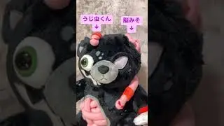 ゾンビ テディの徹底分析🧸🔍
