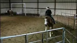 Redhot Quejana - 2/8/12 sorting - Valley View Ranch