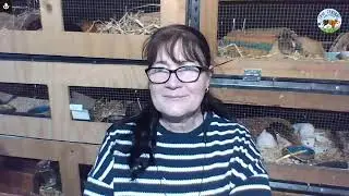 Catch up Cavy Central - Mites, Fungal, Vitamin C, Diet - and lots more.