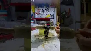 Дубление кожи гремучей змеи: Часть 3: Растяжка #Таксидермия