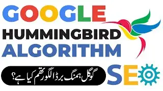 Google Hummingbird Algorithm || Google Core Updates || Google Algorithms