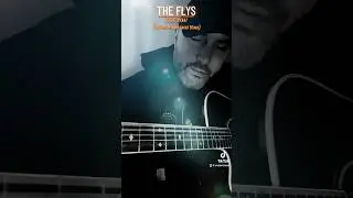 THE FLYS - GOT YOU (Where I Want You) acoustic