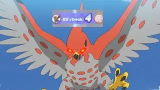 talonflame users be like:
