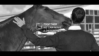 QUI & ORA SOCIAL PROJECT | CAVALLERIA TOSCANA