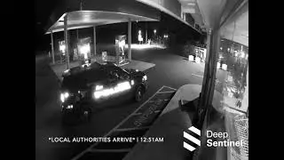 STOPPED by Deep Sentinel #57: Live Guard Prevents Burglary at Local Business