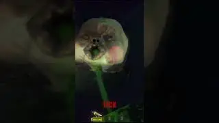 Es hat mich erwischt. | #tokusyomigaeri auf #Twitch #funny #gaming #memes #gameplay