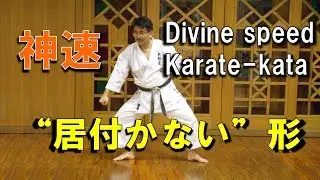神速の動きとは？新垣清による&rdquo;居付かない&rdquo;形の指導！！Diveine speed Karate-kata,Kiyoshi Arakaki