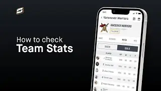 How to check Team Stats