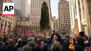 Rockefeller Center Christmas Tree arrives in New York City