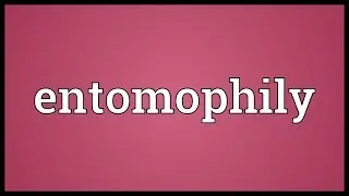 Entomophily Meaning
