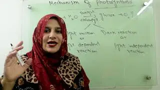 Class 9||Chp#7||Mechanism of photosynthesis.