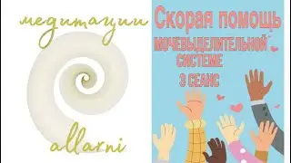 Мочевыделительная система. 3 сеанс (наполнение) СКОРАЯ ПОМОЩЬ Алларни